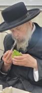 כ"ק אדמו"ר מפינסק קארלין שליט"א ביים קוקן א אתרוג
