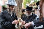 Main image for כ"ק אדמו"ר מסערדאהעלי שליט"א ביים מנהג כפרות ומצוות כיסוי הדם ערב יום כיפור 