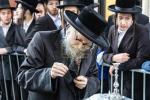 כ"ק אדמו"ר מסערדאהעלי שליט"א ביים מנהג כפרות ומצוות כיסוי הדם ערב יום כיפור 