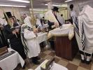הושענא רבה תשפ"ו ביי כ"ק אדמו"ר מליסקא שליט"א
