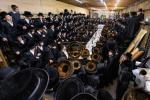 כ"ק אדמו"ר מסערדאהעלי שליט"א ביים עריכת שלחן הטהור שמחת בית השואבה חול המועד סוכות. 