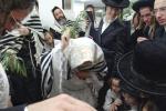 חג הסוכות ביי הגה"צ המשפיע רבי יצחק משה ערלאנגער שליט"א