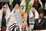חג הסוכות בחצר הקודש וויזניץ