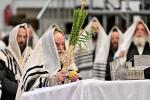 חג הסוכות בחצר הקודש וויזניץ