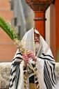 חג הסוכות בחצר הקודש וויזניץ