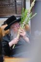 סוכות בחצר הקודש ניקלשבורג 