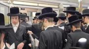 Main image for נאך ווידיאוס פון די יארצייט אין ריבניץ