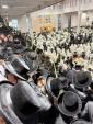 הושענא רבה בחצר הקודש סאטמאר אין וויליאמסבורג