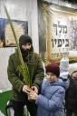 הושענא רבה אין היכל בית הכנסת המרכזי אין מאסקעווע 