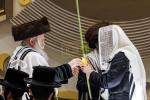 סוכות בחצר הקודש באבוב 
