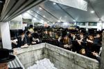 פולע בילדער פון הילולת הרה"ק מריבניץ זי"ע 