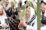 יום טוב סוכות ביי הרה"ק רבי יעקב מאיר שעכטער שליט"א 