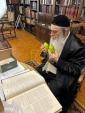 סוכות ביי הרה"ג ר' פנחס פאדווא שליט"א גאב"ד קהילת שומרי הדת אין אנטווערפן