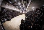 פולע בילדער פון שמחת החתונה פון נכדת כ"ק אדמו"ר מסאטמאר שליט"א 