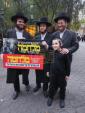  גוטע קרישקלאך פון דעם גרויסארטיגן דעמאסטראציע נעכטן אין מאנהעטן