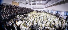 סוכות תשפ"ו בחצר הקודש באבוב – 45