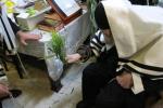 חג הסוכות ביים ראש הישיבה הגרמ"צ בערגמאן