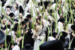 הערליכע גאלעריע פון יום טוב סוכות בחצר הקודש סאטמאר 