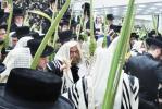 הערליכע גאלעריע פון יום טוב סוכות בחצר הקודש סאטמאר 