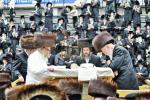 הערליכע גאלעריע פון יום טוב סוכות בחצר הקודש סאטמאר 