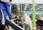הערליכע גאלעריע פון יום טוב סוכות בחצר הקודש סאטמאר 