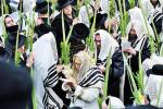 הערליכע גאלעריע פון יום טוב סוכות בחצר הקודש סאטמאר 