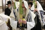 הושענא רבה בצל הקודש פון כ"ק מרן אדמו"ר מסערדאהעלי שליט"א 