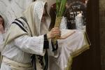 הושענא רבה בצל הקודש פון כ"ק מרן אדמו"ר מסערדאהעלי שליט"א 