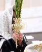 Main image for  נענועים חוה"מ ביי כ"ק אדמו"ר מסאטמאר שליט"א 