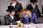 Main image for שמחת הווארט והתנאים בחצר הקודש באבוב - 45‎