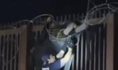 Main image for גרעניץ וועכטער האבן געראטעוועט א אומלעגאלע אימיגראנט ביים איבערקריכן די וואנט און אנגעכאפט א ווייער
