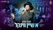 Main image for יענקי אויש - א שיין ווינקל