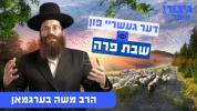 גיבור אוצר: דער געשריי פון שבת פרה | הרב משה בערגמאן