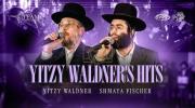Main image for ייצי וואלדנערס היטס |  שמעיה פישער, איצי וואלדנער, שיע קאללער בענד און ידידים כאר