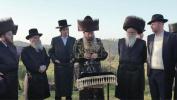 Main image for כ"ק אדמו"ר מסאדיגורא ירושלים שליט"א ביי ברכת אילנות 
