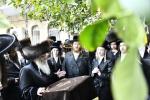 כ"ק אדמו"ר מקרעטשניף שליט"א ביי ברכת האילנות  