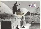 היסטארישע בילדער פון לג בעומר אין מירון 