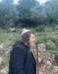 פאליציי אין ארץ ישראל האבן ארעסטירט אפאר חברהלייט וועלכע האבן געשניטן די זיכערהייט צוימען ארום מירון