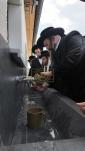 הרה"ג מרדכי הערש שפיצער שליט"א ר"י ספינקא ביים ציון הק' אין ליסקא
