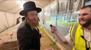אידן זענען מתפלל ביים ציון פון כ"ק מהרנ"ץ מבאבוב זצ"ל אין לג בעומר 