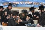 ל"ג בעומר בחצר הקודש ערלוי