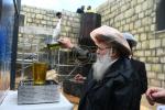 הערליכע גאלעריע פון אידישע קינדער בצל רשב"י אין מירון 