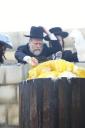 הערליכע גאלעריע פון אידישע קינדער בצל רשב"י אין מירון 