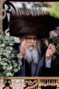 היסטארישע הכנסת ספר תורה דורך כ"ק אדמו"ר מסאטמאר שליט"א ל"ג בעומר תשפ"ו