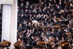 היסטארישע הכנסת ספר תורה דורך כ"ק אדמו"ר מסאטמאר שליט"א ל"ג בעומר תשפ"ו
