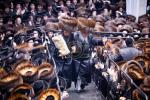 היסטארישע הכנסת ספר תורה דורך כ"ק אדמו"ר מסאטמאר שליט"א ל"ג בעומר תשפ"ו