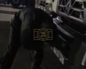 פארשטעלטע אקטיוויסטן האבן חרוב געמאכט קאמפעני קארס אין בריסטאל, ווען די פראטעסטן קעגן "עלביט סיסטעמס" פלאקערן אויף מיט א שטארקייט.
