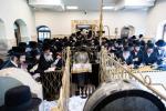 בילדער פון כ"ק אדמו"ר מסאטמאר שליט"א אין שטאט צאנז
