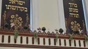הכנות צום יום טוב שבועות בחצר הקודש וויזניץ 