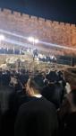 Main image for הערליכע ריקודים מוצאי שבועות נעבן קבר דוד המלך